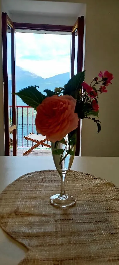Apartment Viewtiful Homestay Stazzona Italien